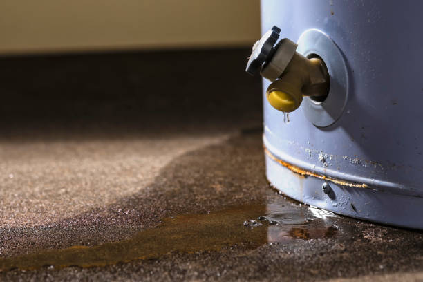 Best Water damage restoration experts  in Chesterton, IN