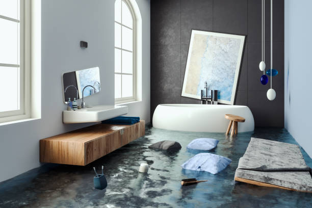 Best Water damage cleanup near me  in Chesterton, IN