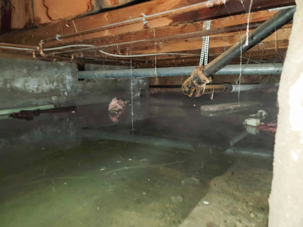 Best Commercial water damage restoration  in Chesterton, IN