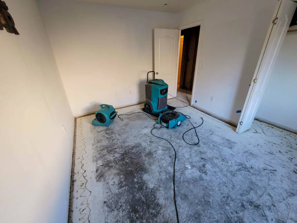 Best Flood damage cleanup  in Chesterton, IN
