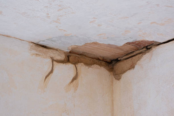 Best Fire Damage Restoration  in Chesterton, IN