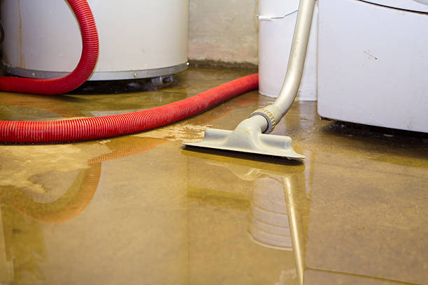 Best 24-hour water damage restoration  in Chesterton, IN