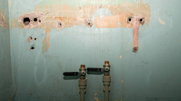 Best Flooded house restoration  in Chesterton, IN