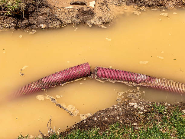 Best Basement water damage restoration  in Chesterton, IN