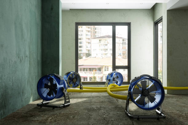 Best Water damage restoration near me  in Chesterton, IN