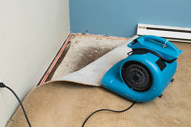 Best 24/7 water damage repair  in Chesterton, IN